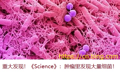 陶氏診療院