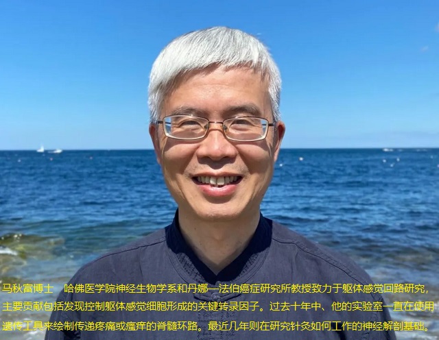 陶氏診療院