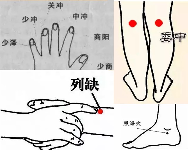 陶氏診療院